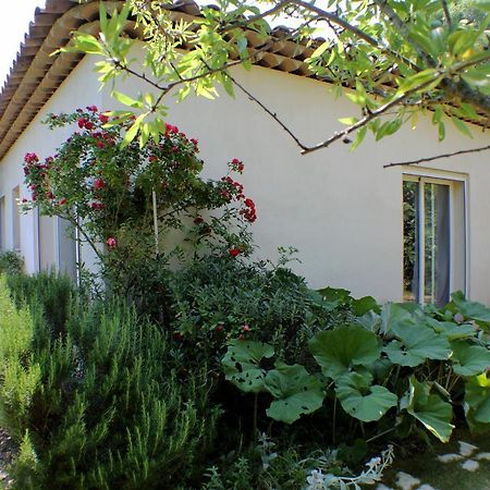 Le 275 Villa La Colle-sur-Loup Exterior foto
